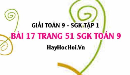 Giải bài 17 trang 51 SGK Toán 9 tập 1